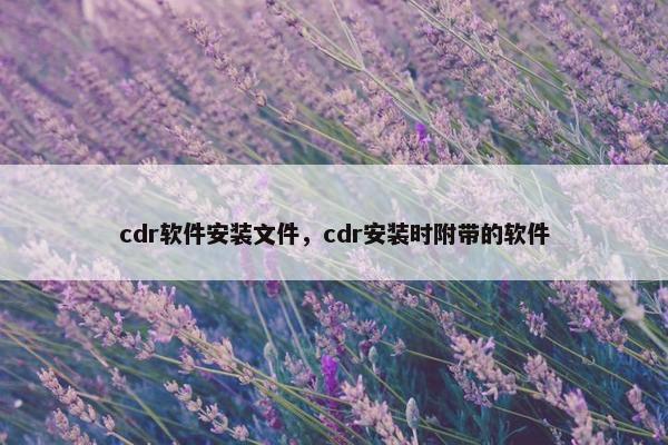 cdr软件安装文件，cdr安装时附带的软件