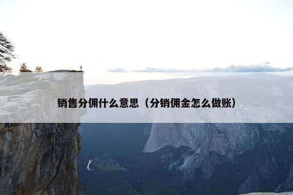 销售分佣什么意思（分销佣金怎么做账）