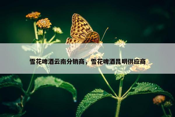 雪花啤酒云南分销商，雪花啤酒昆明供应商