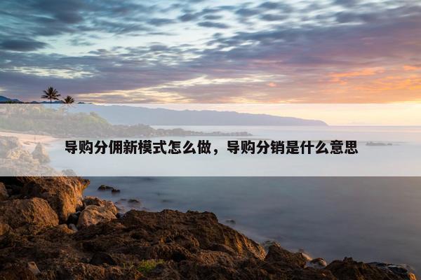 导购分佣新模式怎么做，导购分销是什么意思