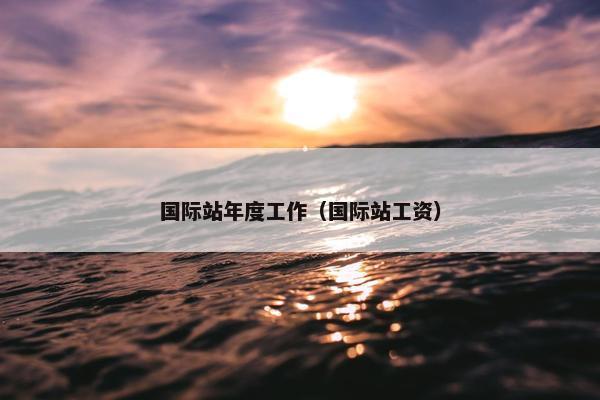 国际站年度工作（国际站工资）