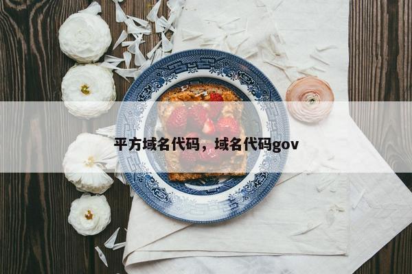 平方域名代码，域名代码gov