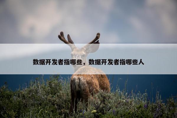 数据开发者指哪些，数据开发者指哪些人