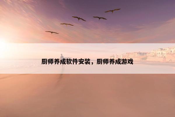 厨师养成软件安装，厨师养成游戏