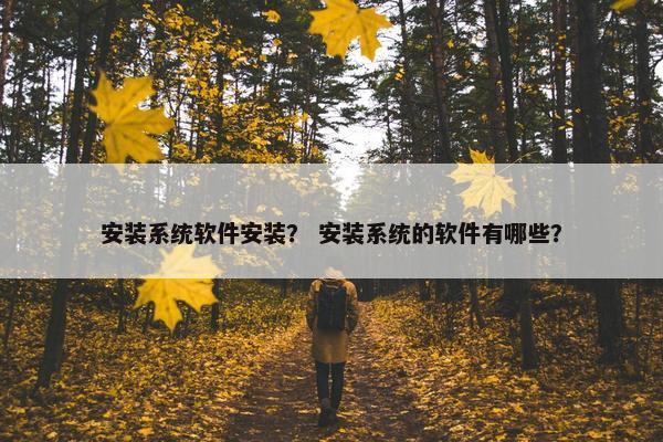 安装系统软件安装？ 安装系统的软件有哪些？