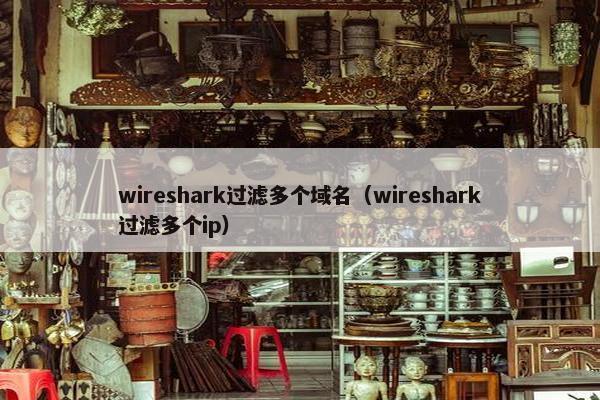 wireshark过滤多个域名（wireshark过滤多个ip）