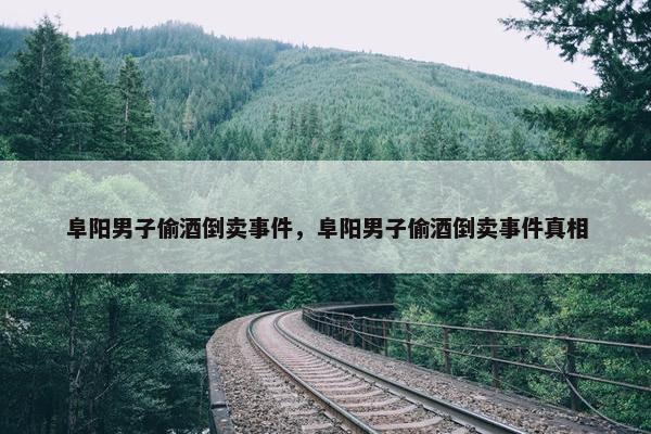 阜阳男子偷酒倒卖事件，阜阳男子偷酒倒卖事件真相