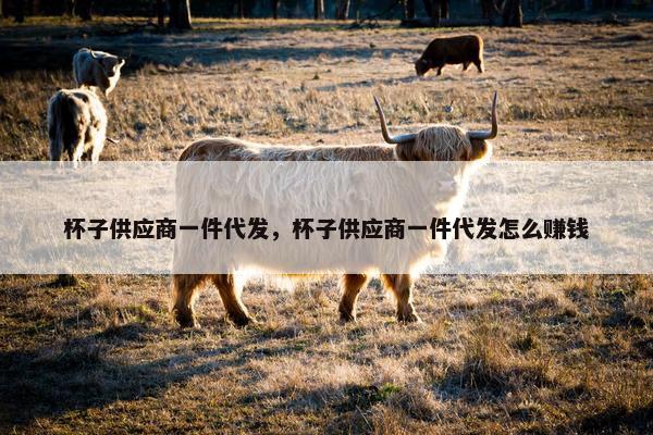 杯子供应商一件代发，杯子供应商一件代发怎么赚钱