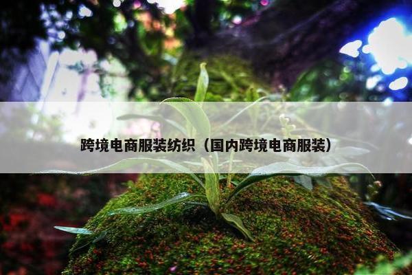 跨境电商服装纺织（国内跨境电商服装）