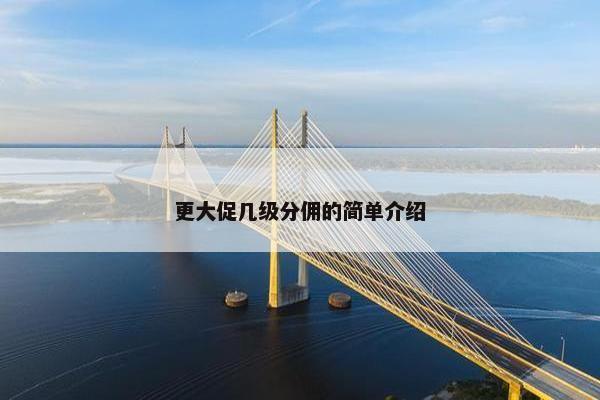 更大促几级分佣的简单介绍