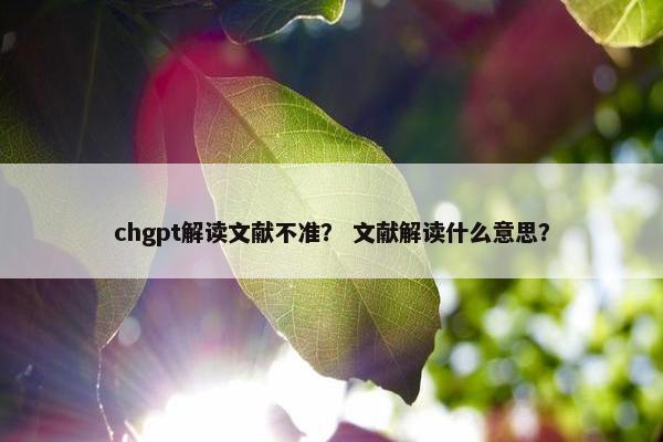 chgpt解读文献不准？ 文献解读什么意思？