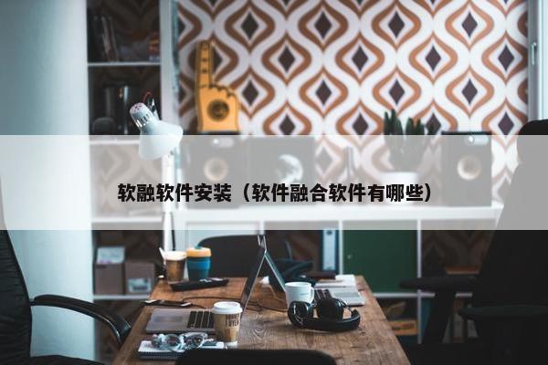 软融软件安装（软件融合软件有哪些）