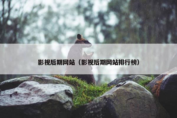 影视后期网站（影视后期网站排行榜）