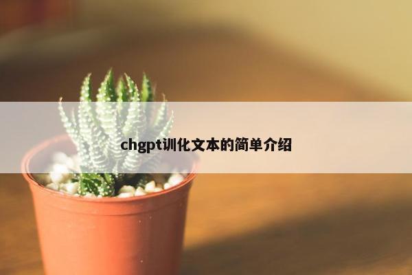 chgpt训化文本的简单介绍