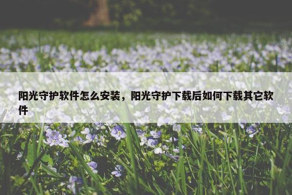 阳光守护软件怎么安装，阳光守护下载后如何下载其它软件