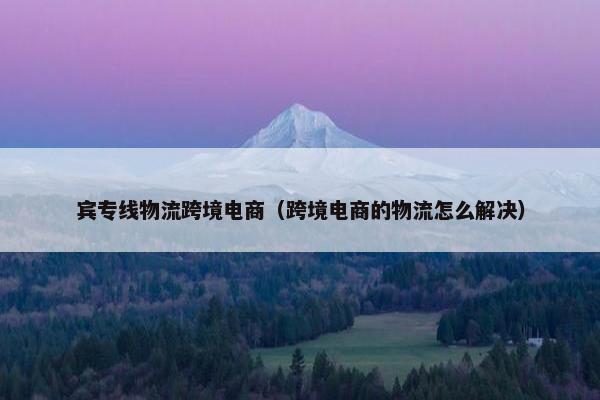 宾专线物流跨境电商（跨境电商的物流怎么解决）
