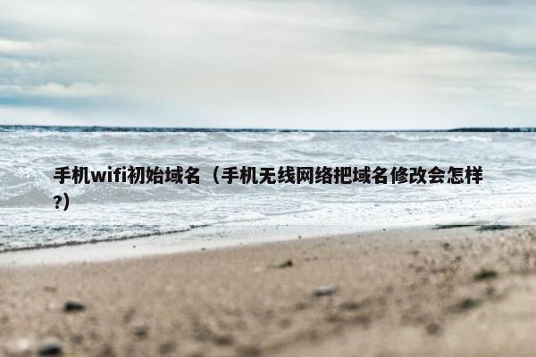 手机wifi初始域名（手机无线网络把域名修改会怎样?）