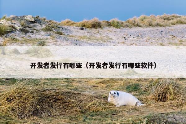 开发者发行有哪些（开发者发行有哪些软件）