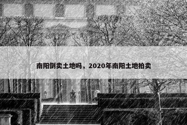 南阳倒卖土地吗，2020年南阳土地拍卖