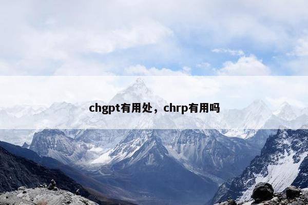 chgpt有用处，chrp有用吗