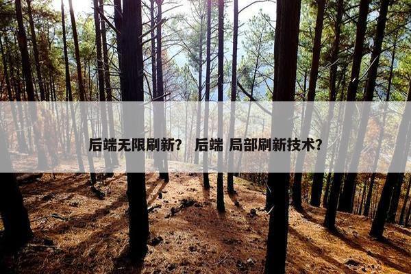 后端无限刷新？ 后端 局部刷新技术？