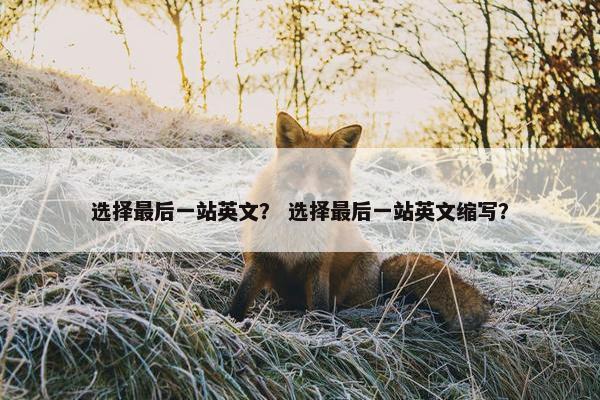 选择最后一站英文？ 选择最后一站英文缩写？