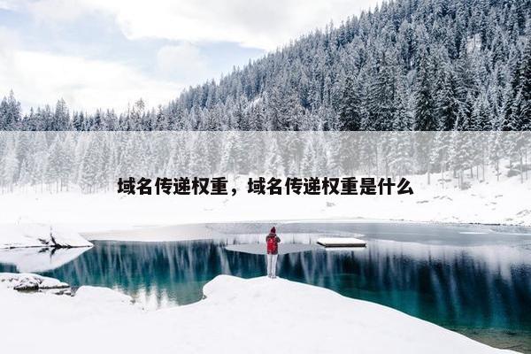 域名传递权重，域名传递权重是什么