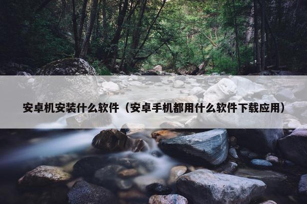 安卓机安装什么软件（安卓手机都用什么软件下载应用）