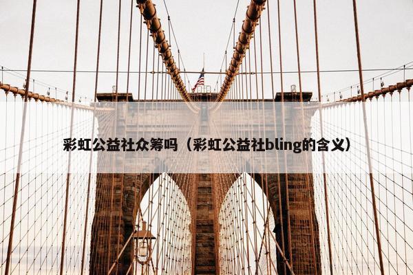彩虹公益社众筹吗（彩虹公益社bling的含义）