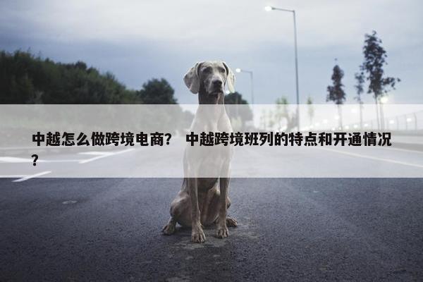中越怎么做跨境电商？ 中越跨境班列的特点和开通情况？