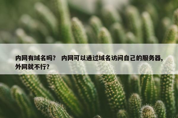 内网有域名吗？ 内网可以通过域名访问自己的服务器,外网就不行？