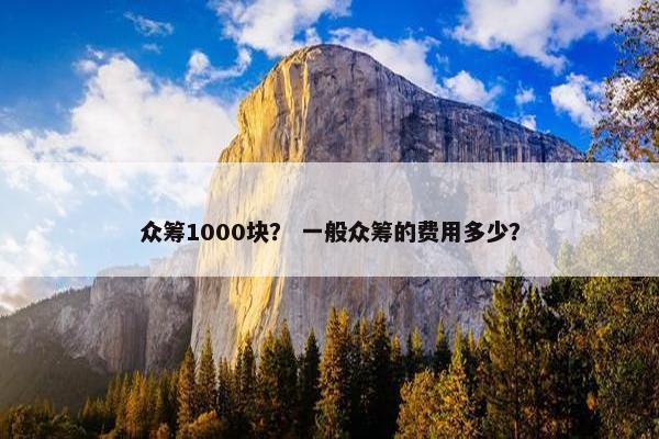 众筹1000块？ 一般众筹的费用多少？