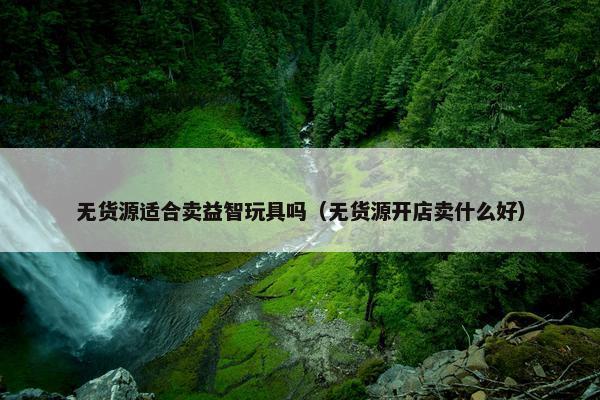 无货源适合卖益智玩具吗（无货源开店卖什么好）