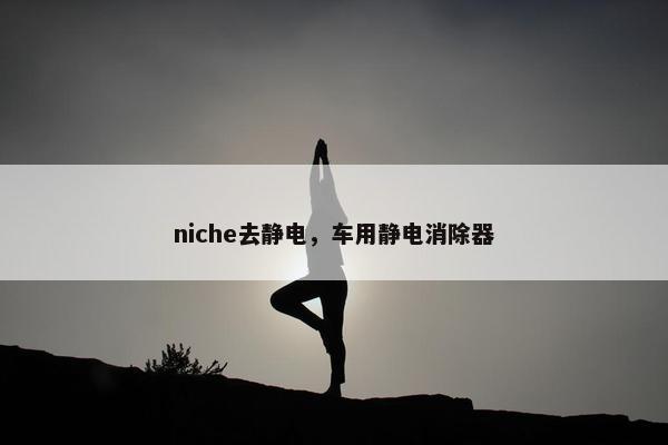 niche去静电，车用静电消除器