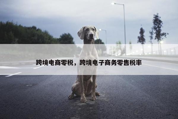 跨境电商零税，跨境电子商务零售税率