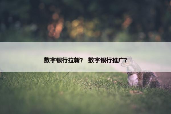 数字银行拉新？ 数字银行推广？