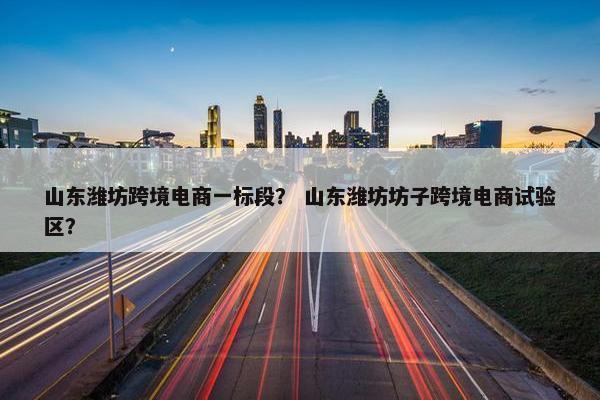 山东潍坊跨境电商一标段？ 山东潍坊坊子跨境电商试验区？
