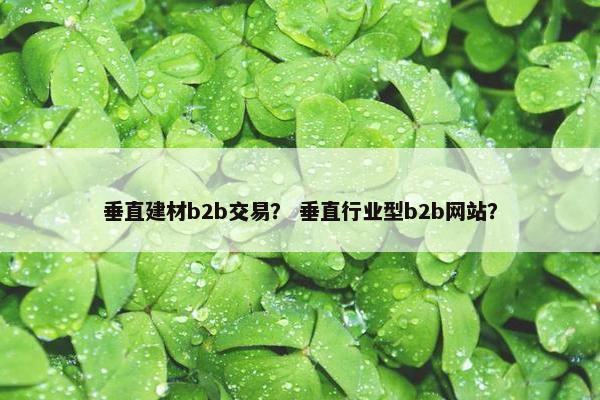 垂直建材b2b交易？ 垂直行业型b2b网站？