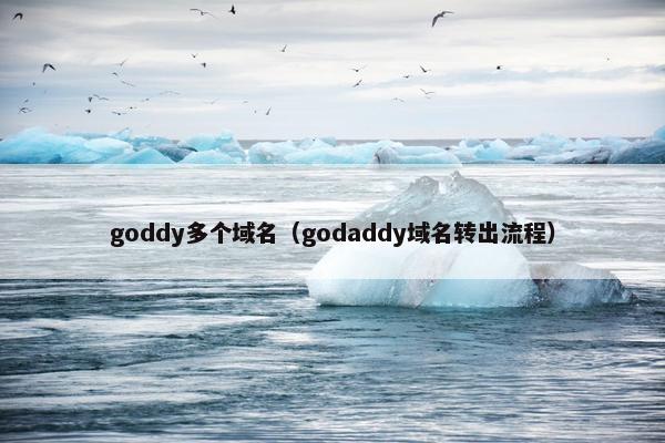 goddy多个域名（godaddy域名转出流程）