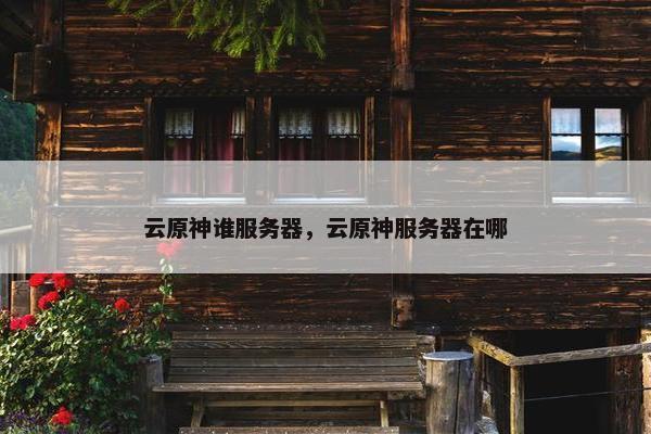 云原神谁服务器，云原神服务器在哪