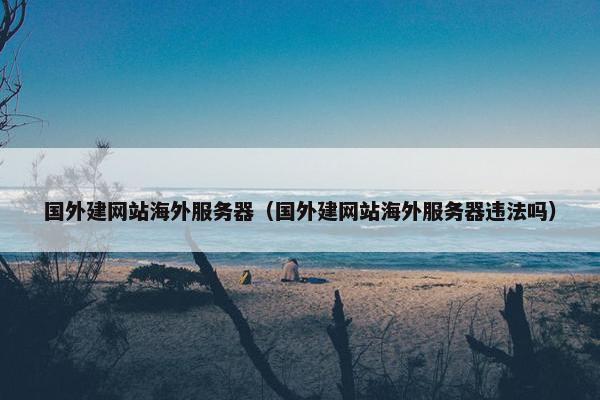 国外建网站海外服务器（国外建网站海外服务器违法吗）