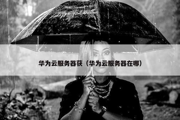 华为云服务器获（华为云服务器在哪）