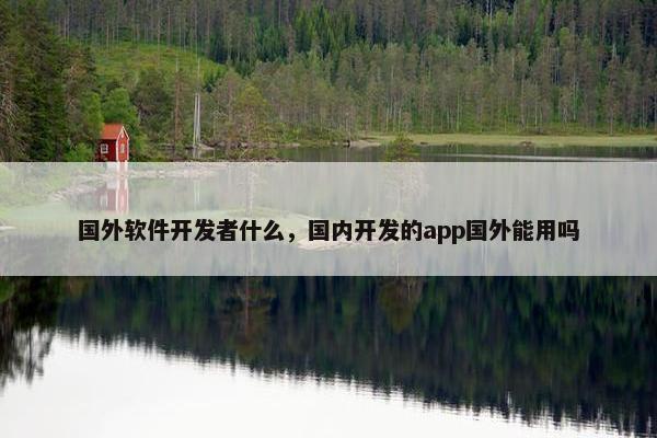 国外软件开发者什么，国内开发的app国外能用吗