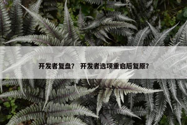 开发者复盘？ 开发者选项重启后复原？