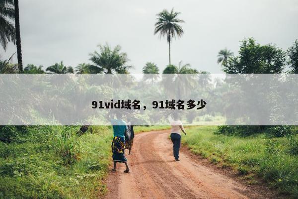 91vid域名，91域名多少
