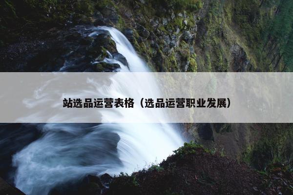 站选品运营表格（选品运营职业发展）