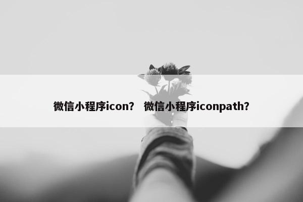 微信小程序icon？ 微信小程序iconpath？