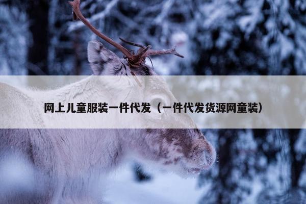 网上儿童服装一件代发（一件代发货源网童装）