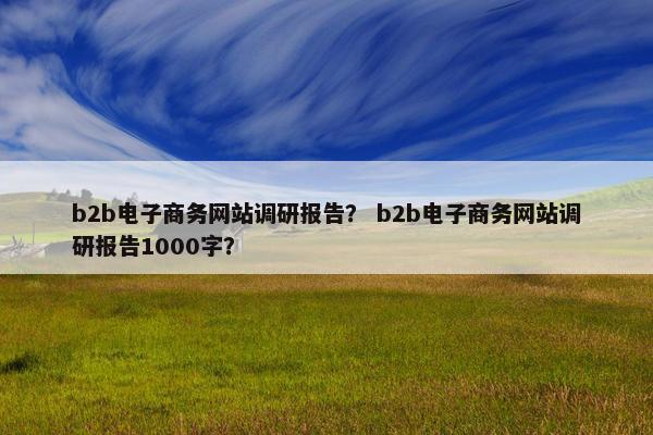 b2b电子商务网站调研报告？ b2b电子商务网站调研报告1000字？