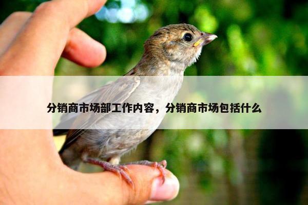 分销商市场部工作内容，分销商市场包括什么